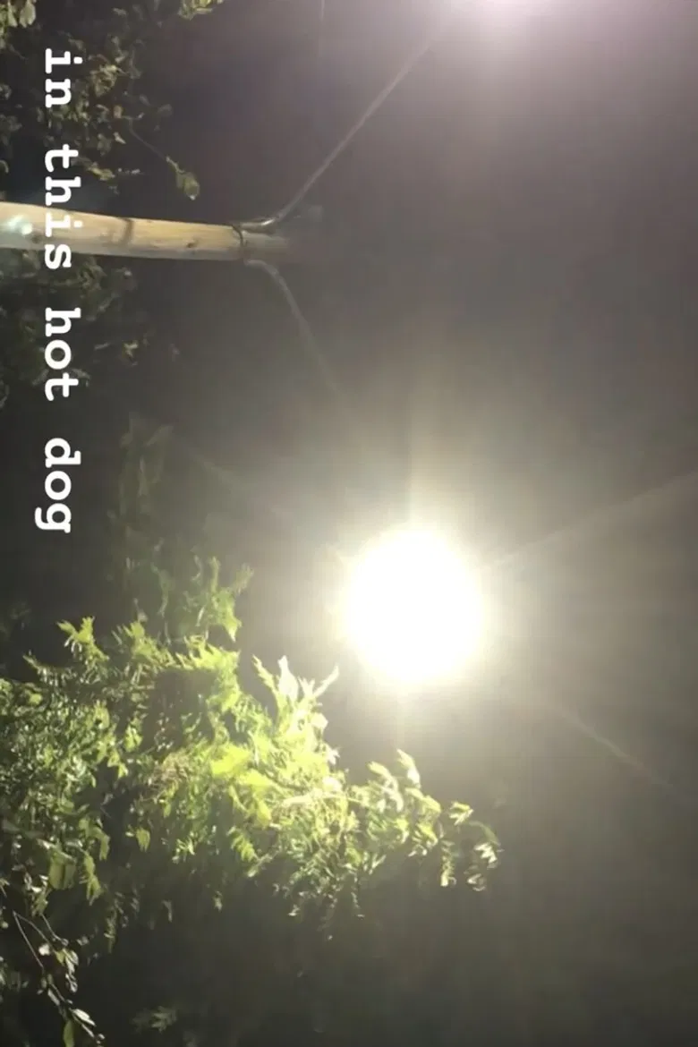 In This Hot Dog poster background