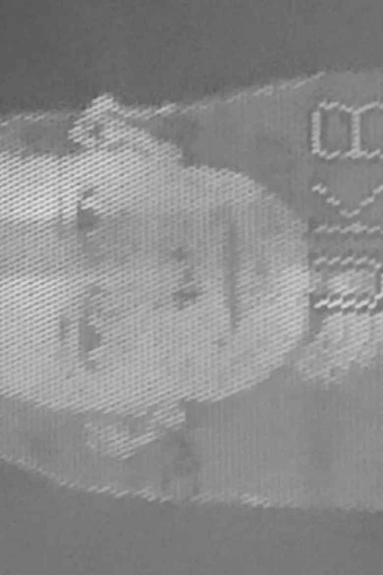 What Will You Do If the War Continues? poster background