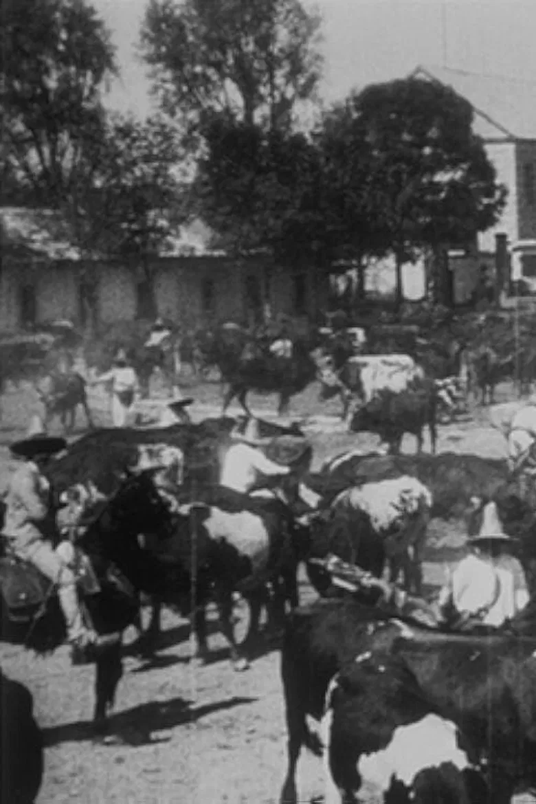 Lassage des bœufs pour le labour poster background