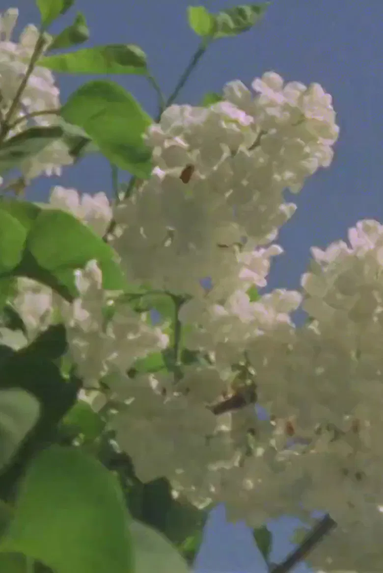 Light Study poster background