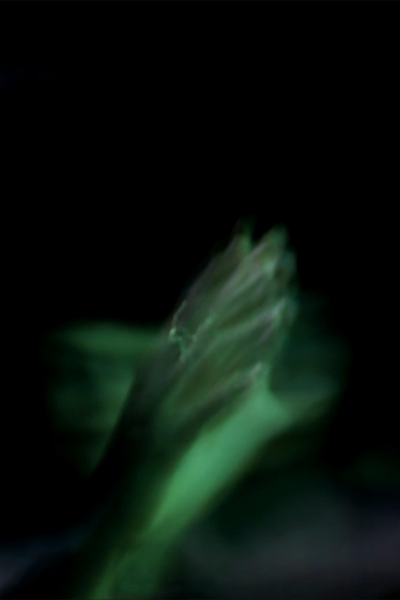 Barbara Hammer Lends a Hand poster background