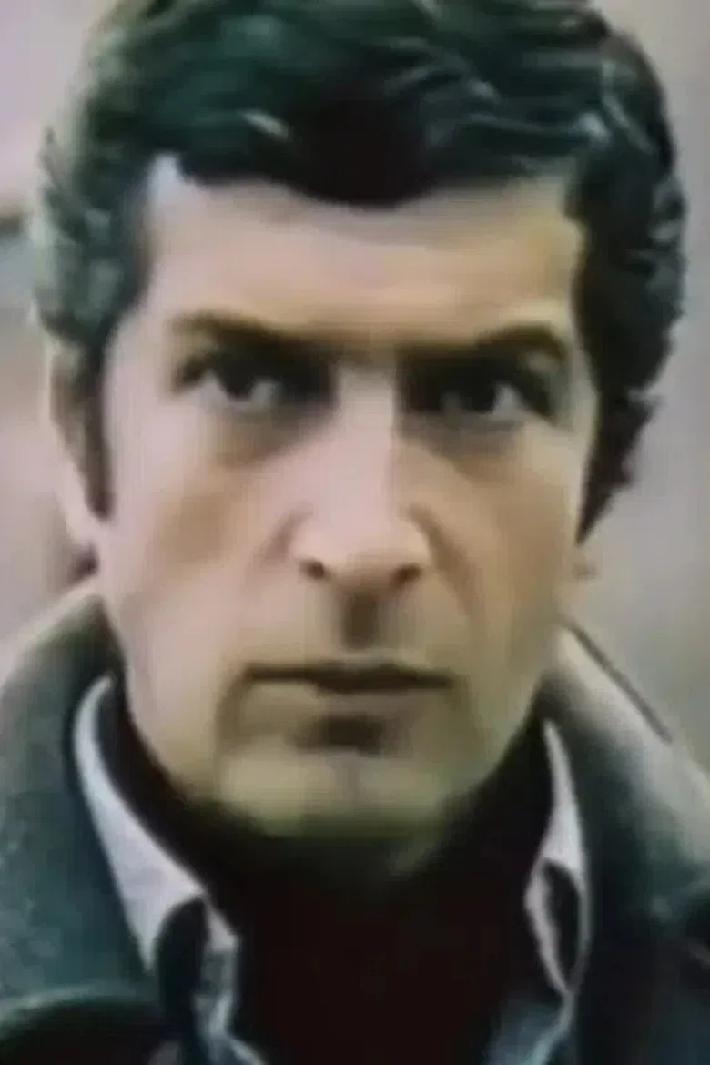 It Snowed in the Winter Gardens poster background