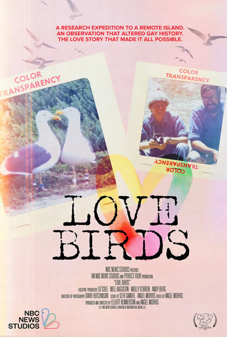 Love Birds poster background