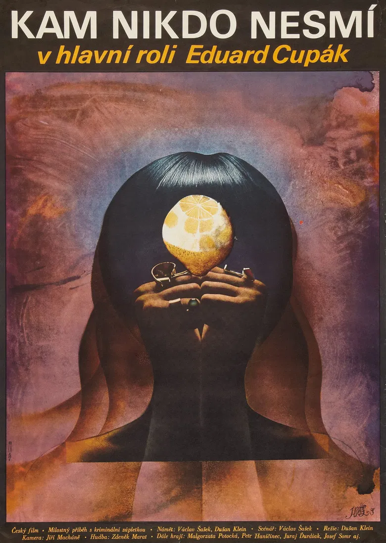 Kam nikdo nesmí poster background