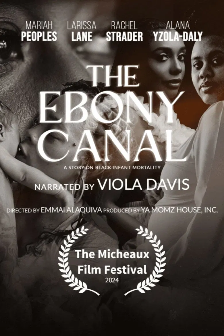 The Ebony Canal: A Story of Black Infant Mortality poster background