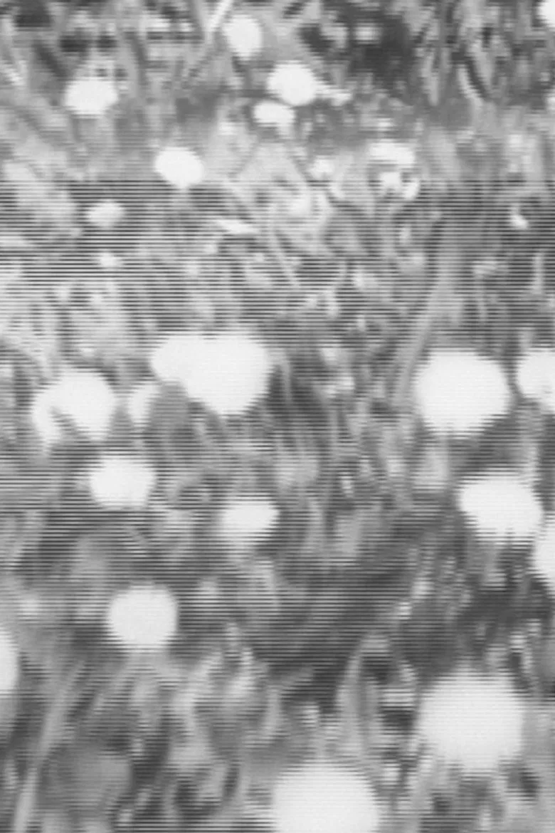 Parking Lot Attendant poster background