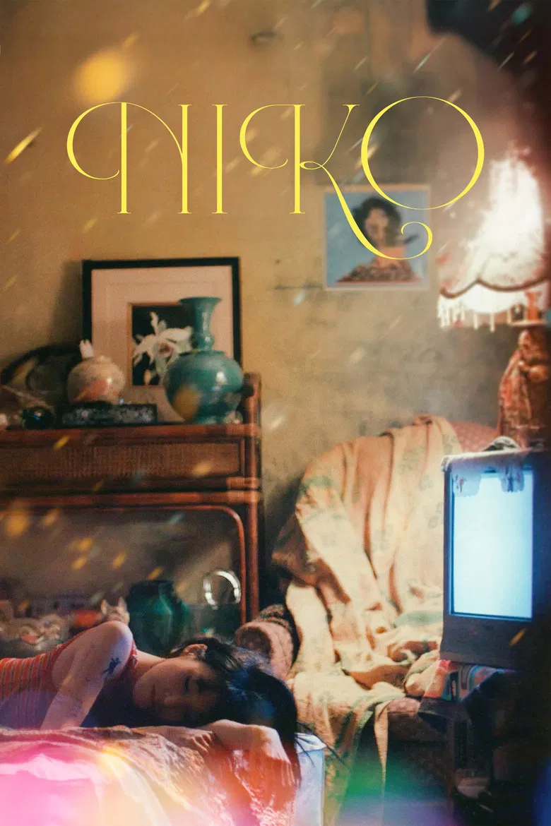 Niko poster background