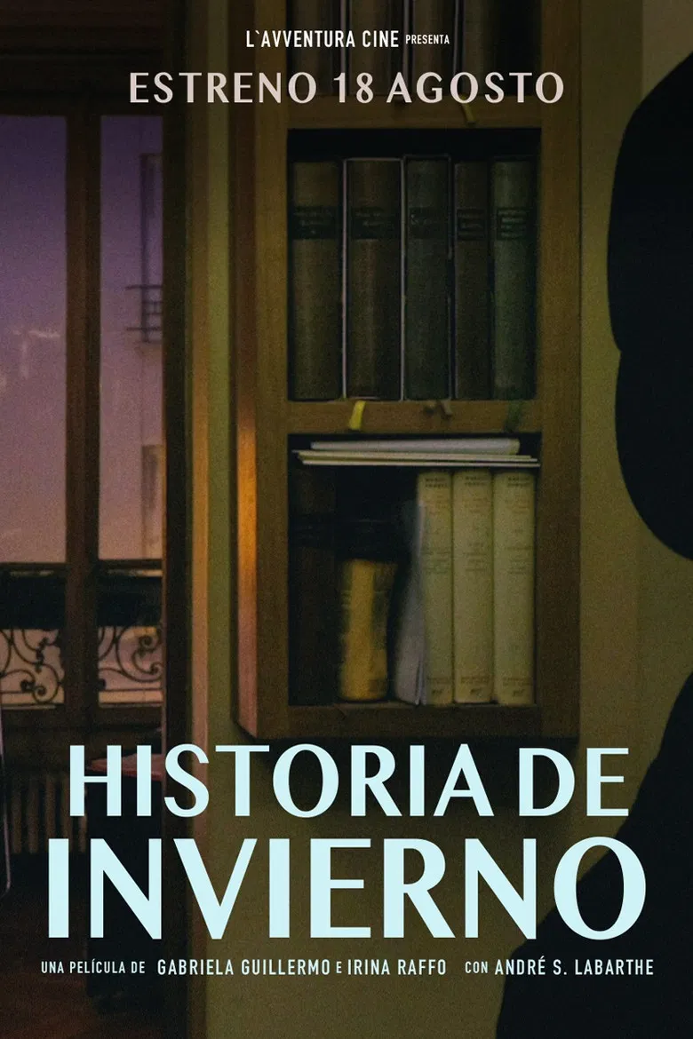 Historia de invierno poster background