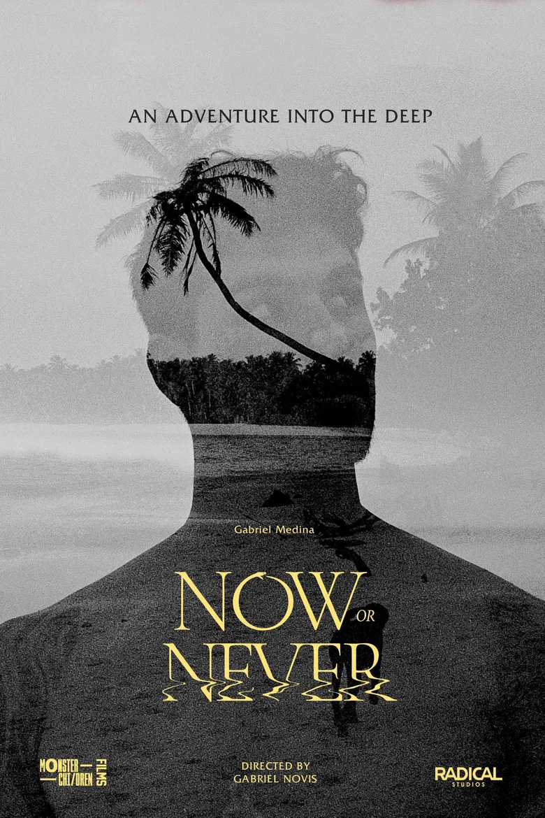 Now or Never poster background