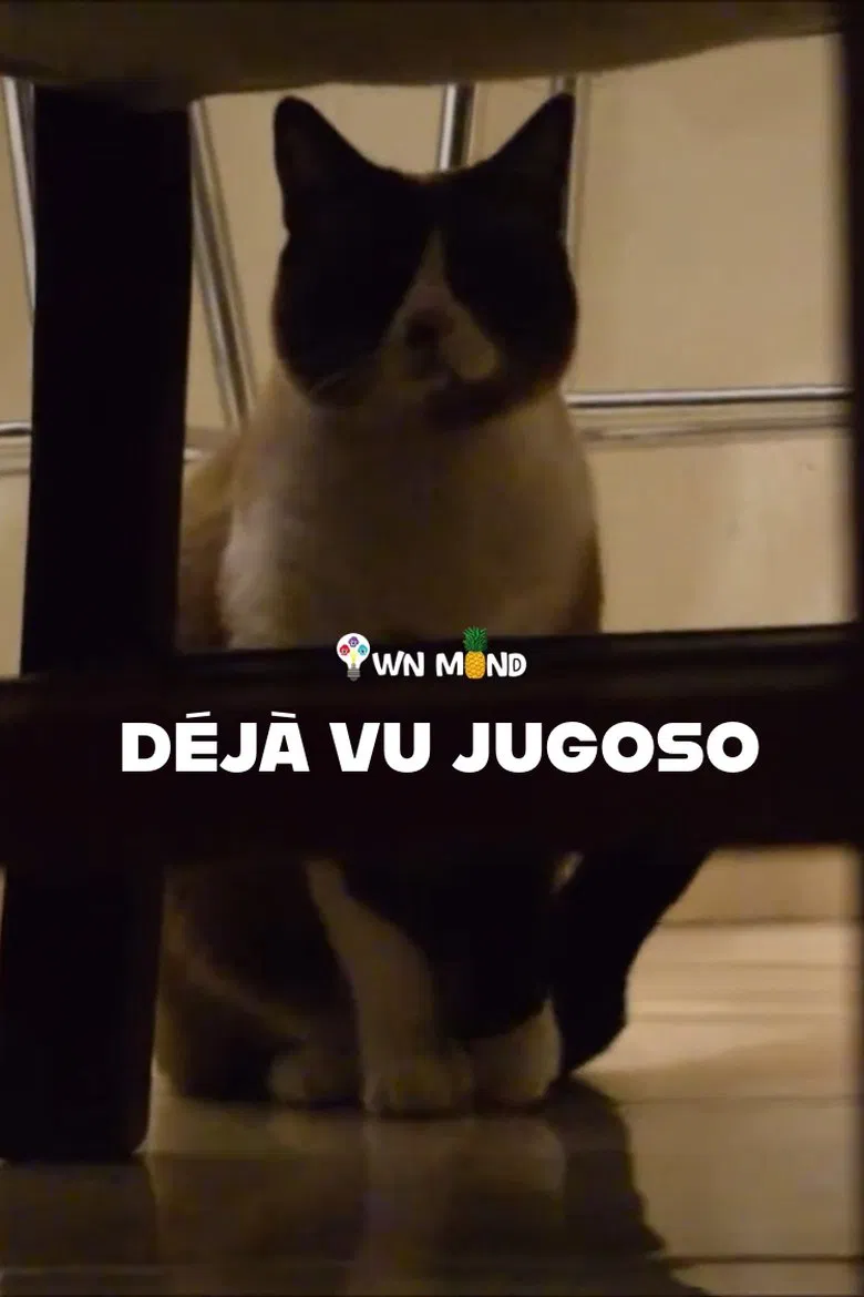 A Juicy Deja Vu poster background