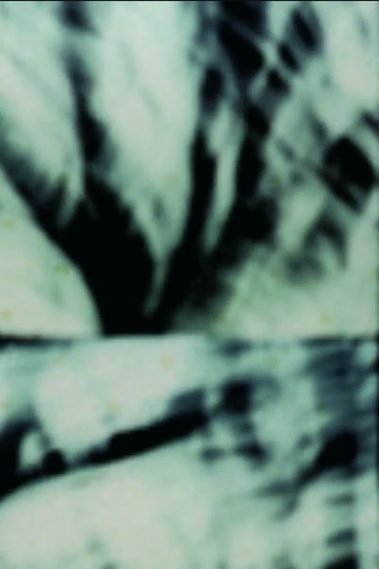 Étude pour arbre seul poster background