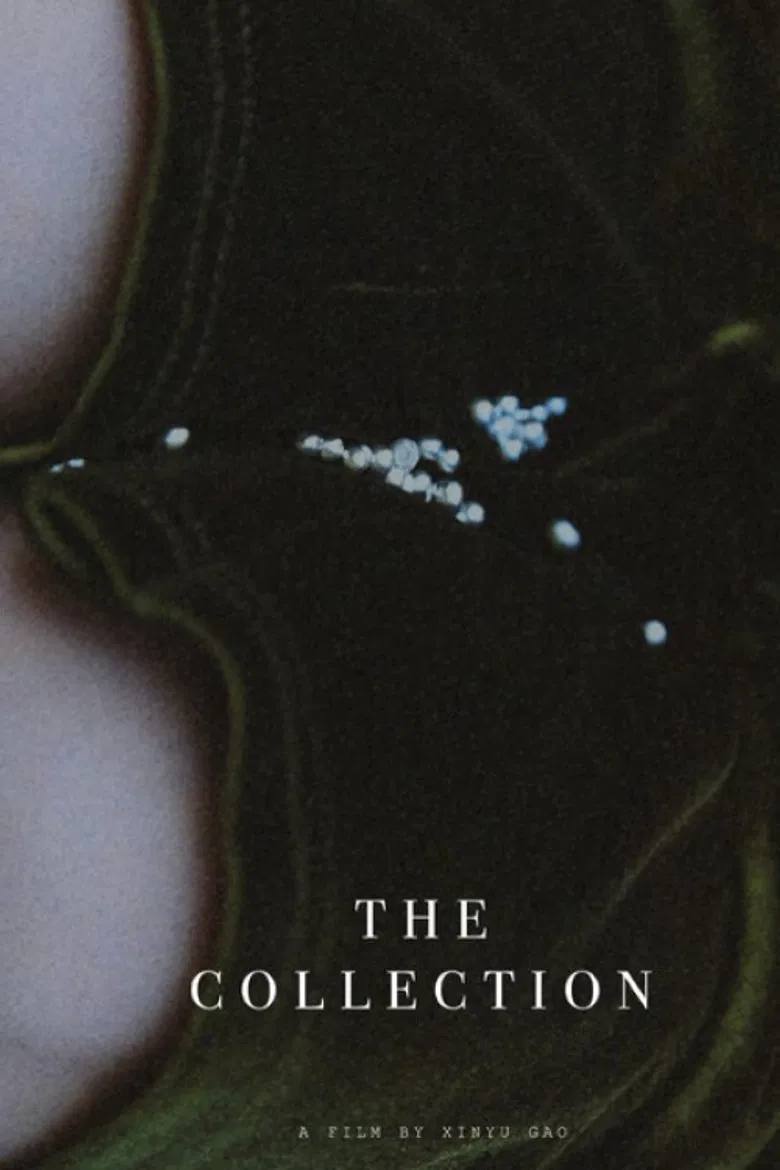 The Collection poster background