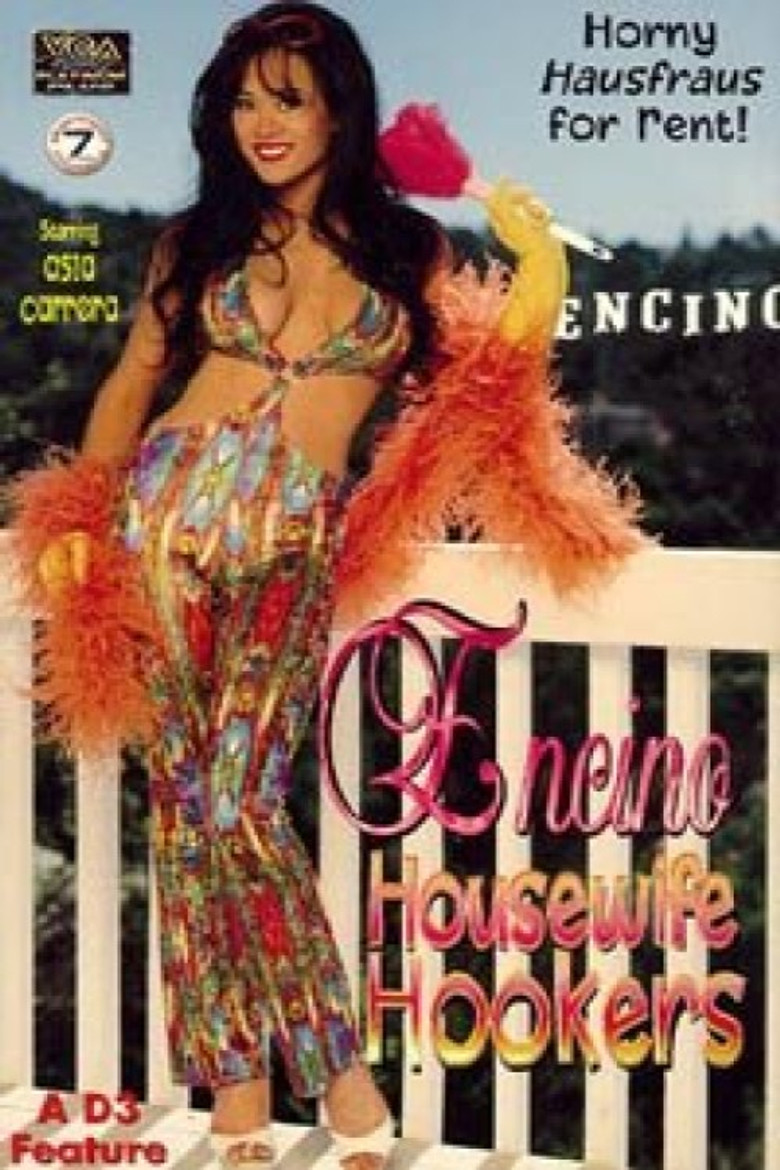 Encino Housewife Hookers poster background
