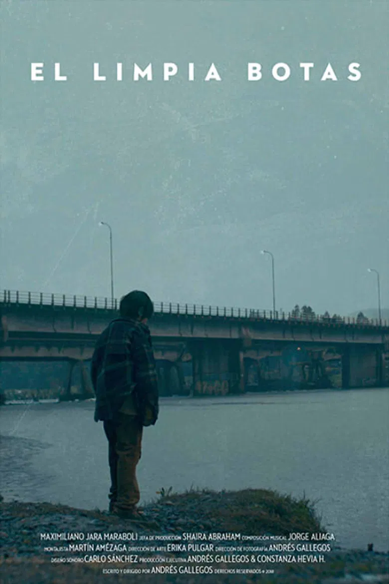 Shoe Shiner poster background