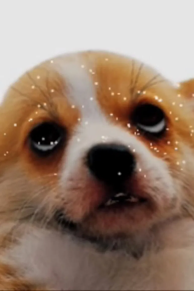 puparazzi poster background