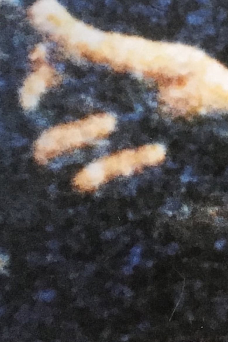 Angledozer poster background