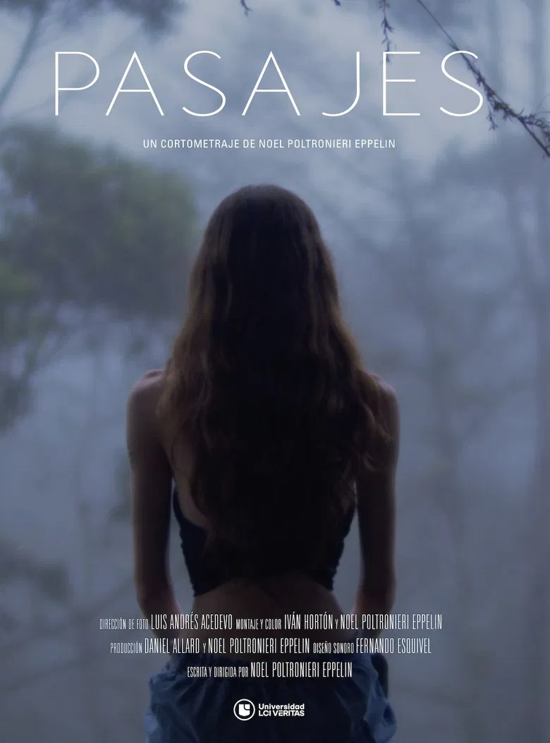 Pasajes poster background