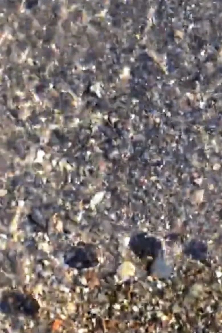 Fading Shade vol.1,2 poster background