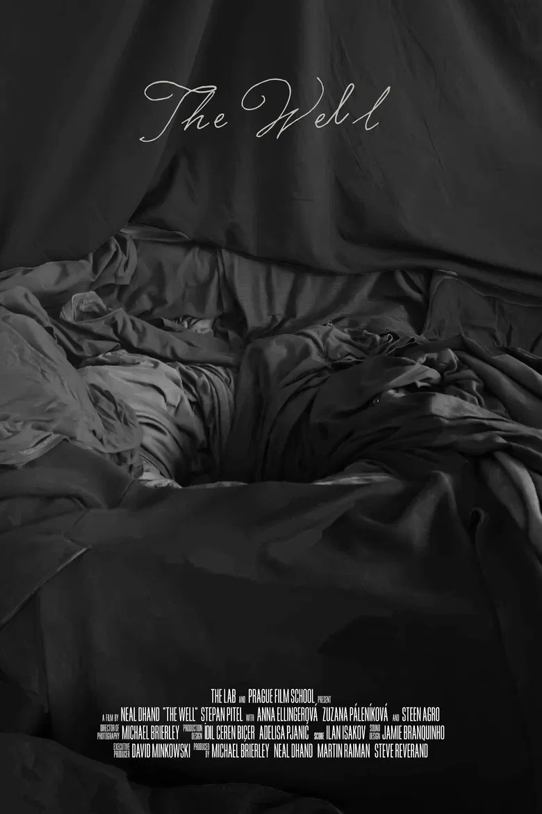 The Well poster background