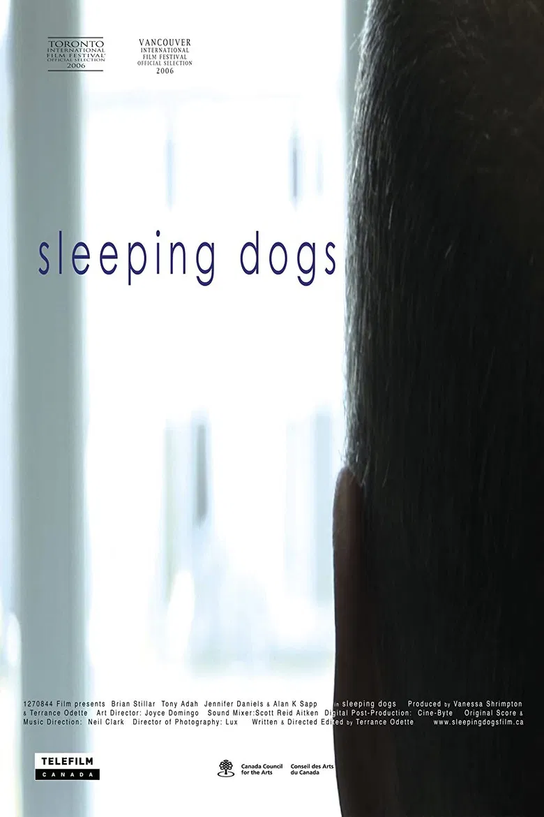 Sleeping Dogs poster background