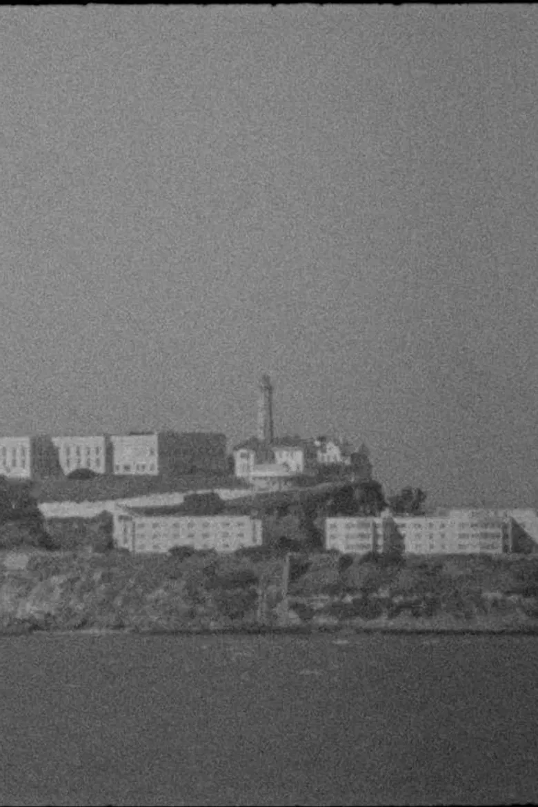 The Return of the Buffalo poster background