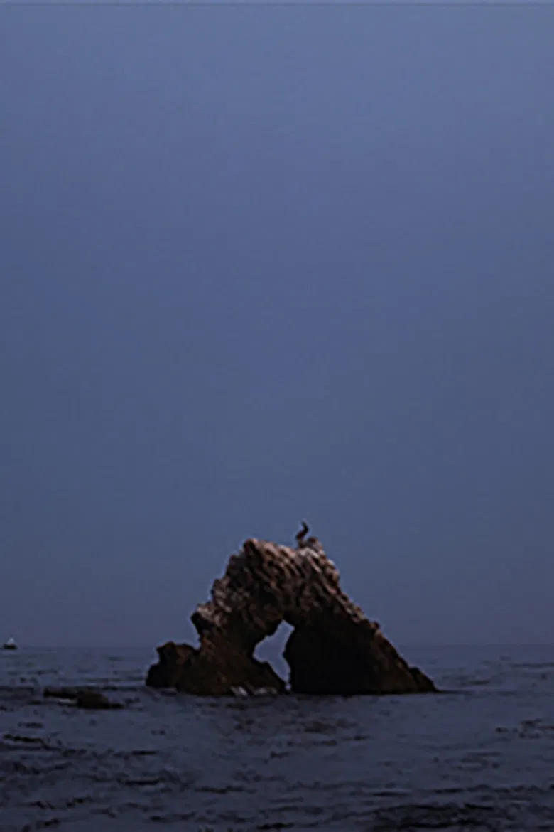 black widow summer set poster background