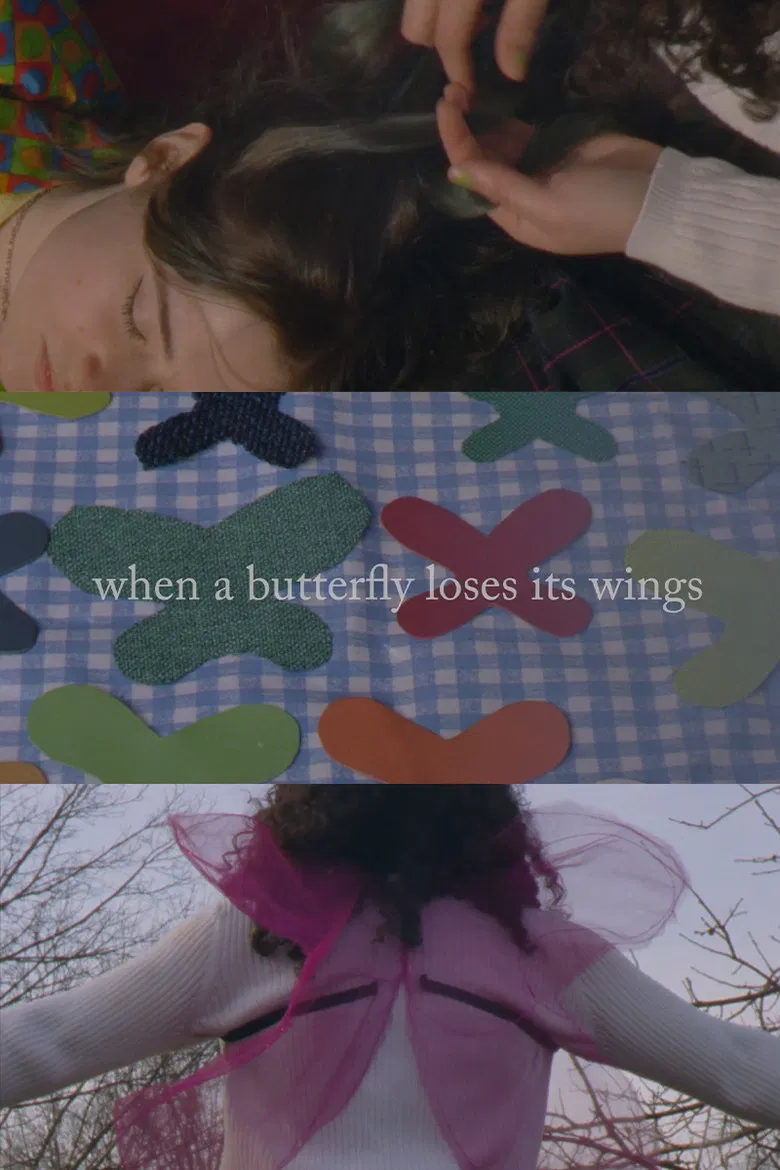When A Butterfly Loses Its Wings poster background