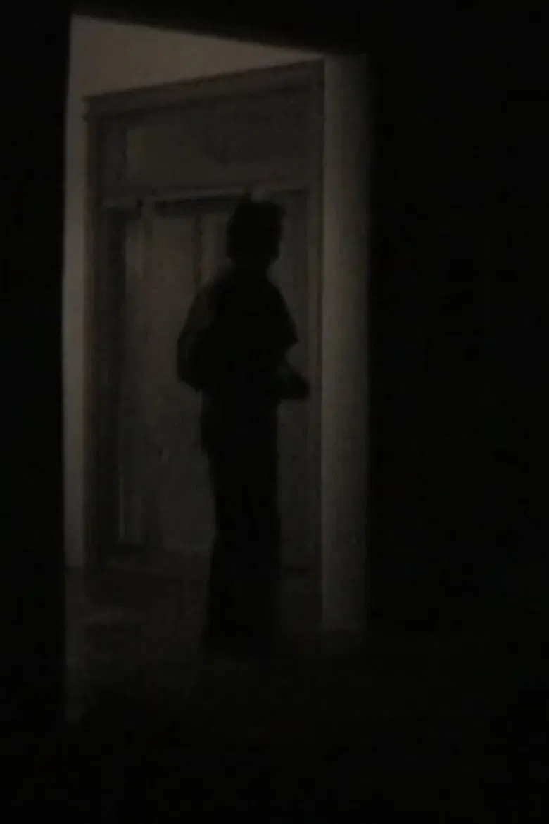 a film about nothing or my friend, jake, in new mexico poster background