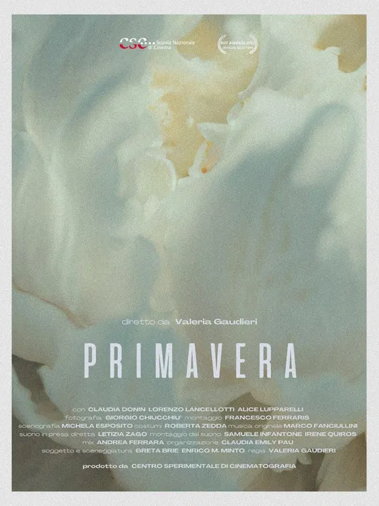 Primavera poster background