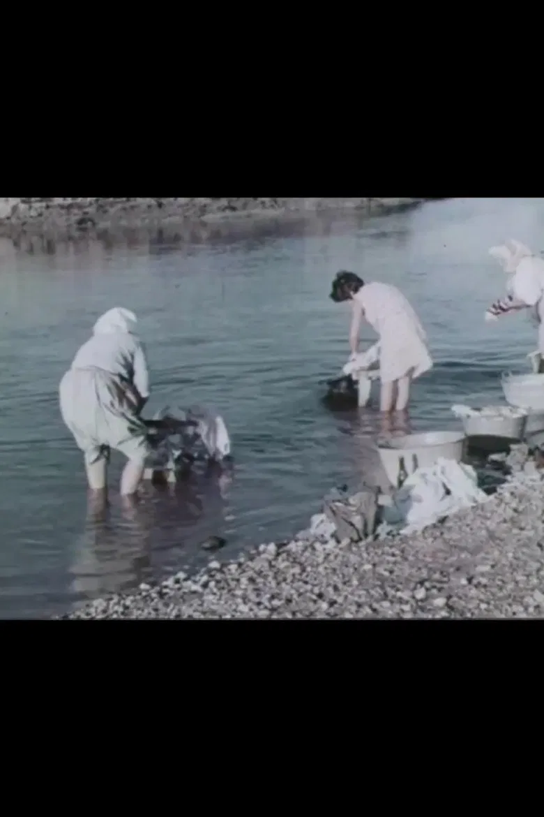 Un feudo d'acqua poster background