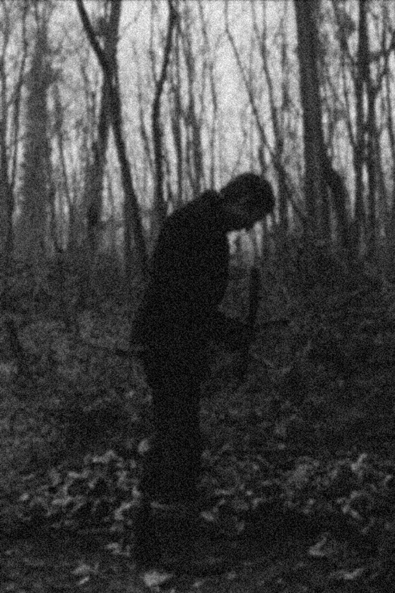 School for Fools poster background