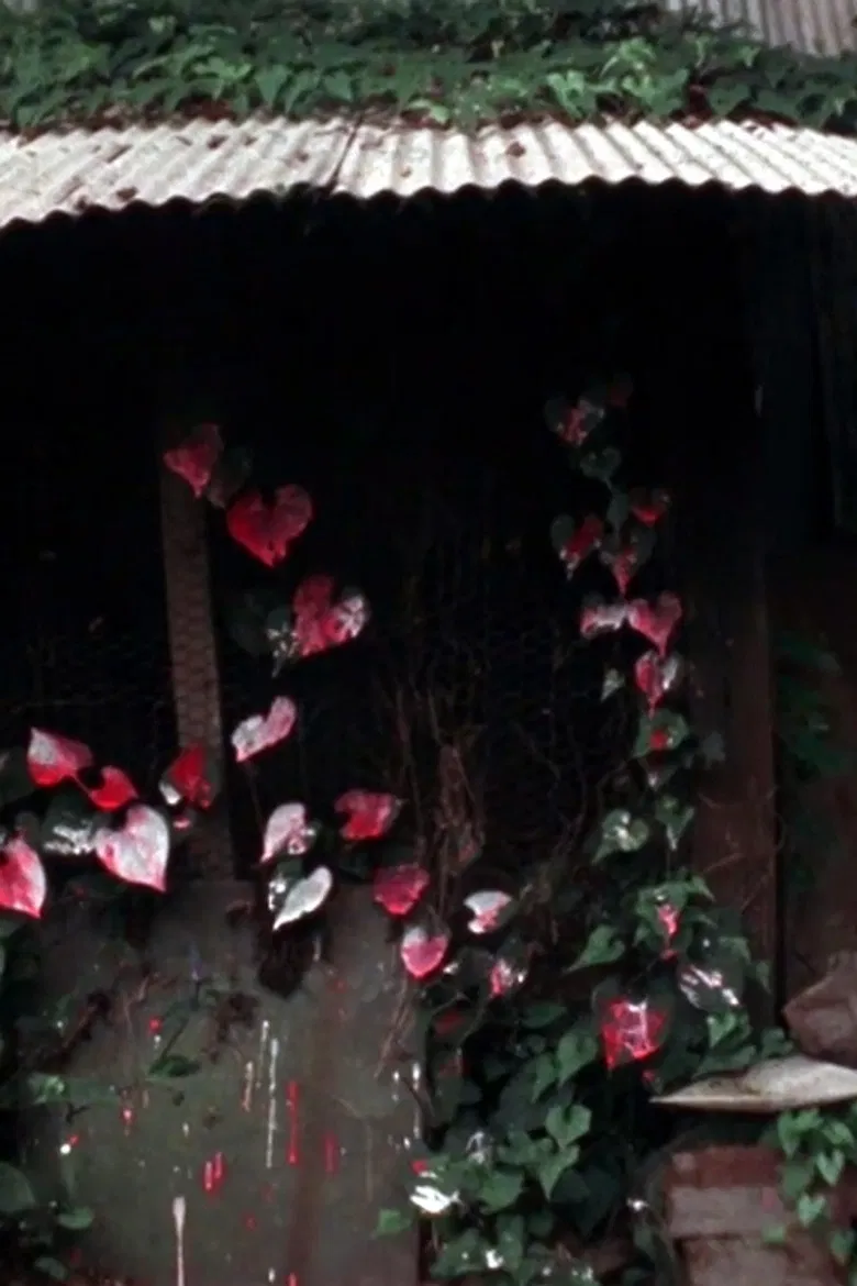 SHELTER poster background