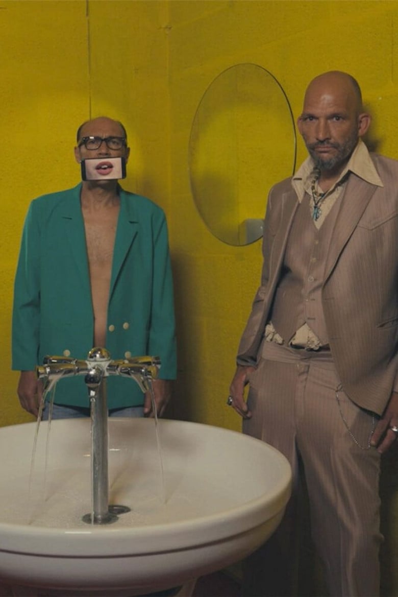 Oiseau Moqueur poster background