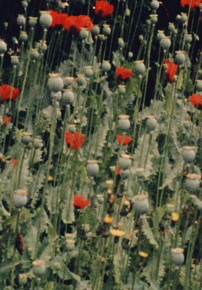 Place of Work poster background