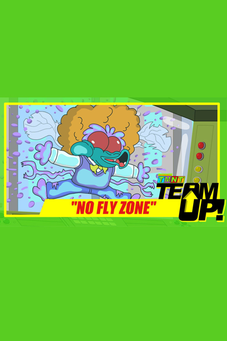 TMNT Team Up! - No Fly Zone poster background