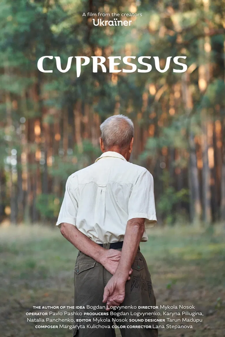 Cupressus poster background