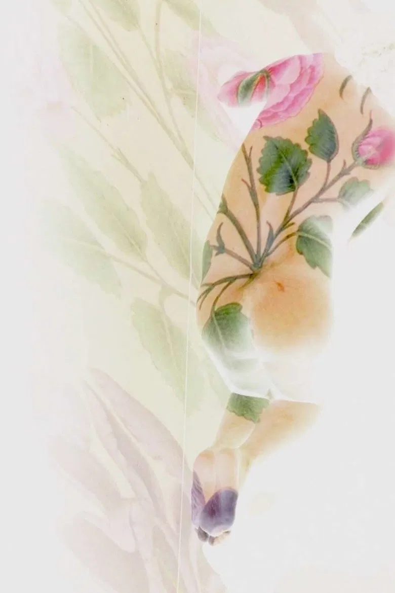 Port Saïd, Santa Cruz, Sarmad Kashani poster background