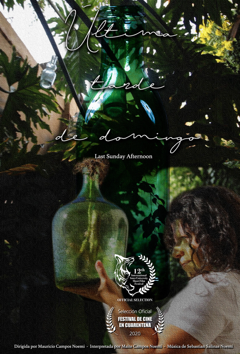 Last Sunday Afternoon poster background