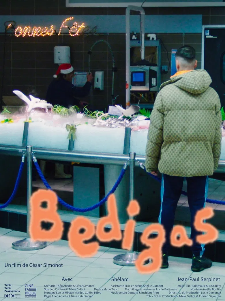 Bedigas poster background