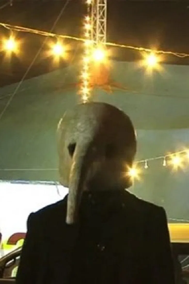 Antilef, La Caída Del Sol poster background