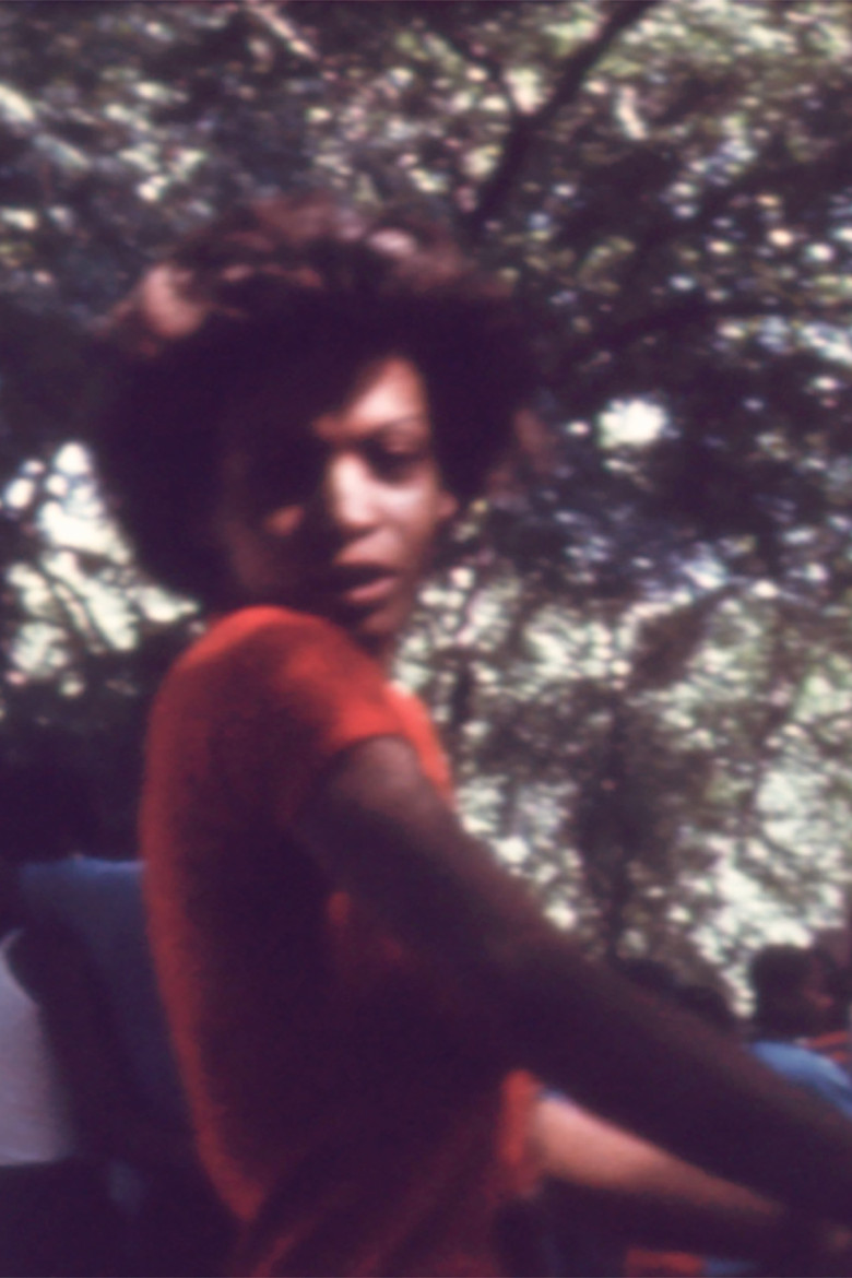 Cerveza Bud poster background