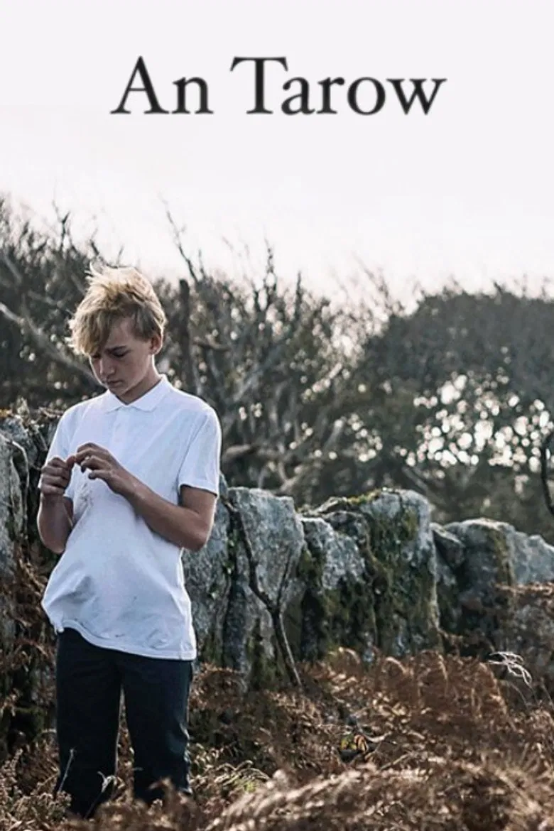 The Bull poster background