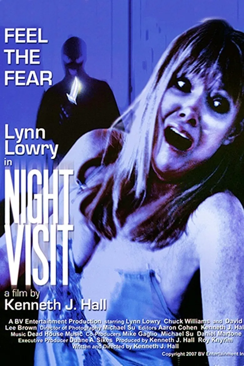 Night Visit poster background