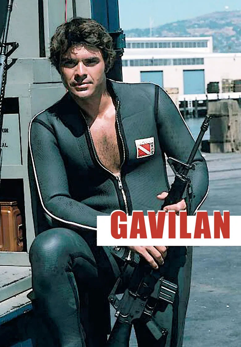 Gavilan poster background