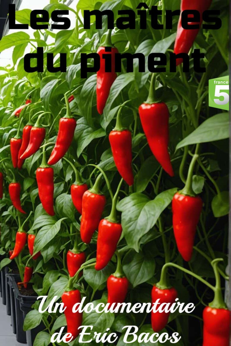 Les maîtres du piment poster background