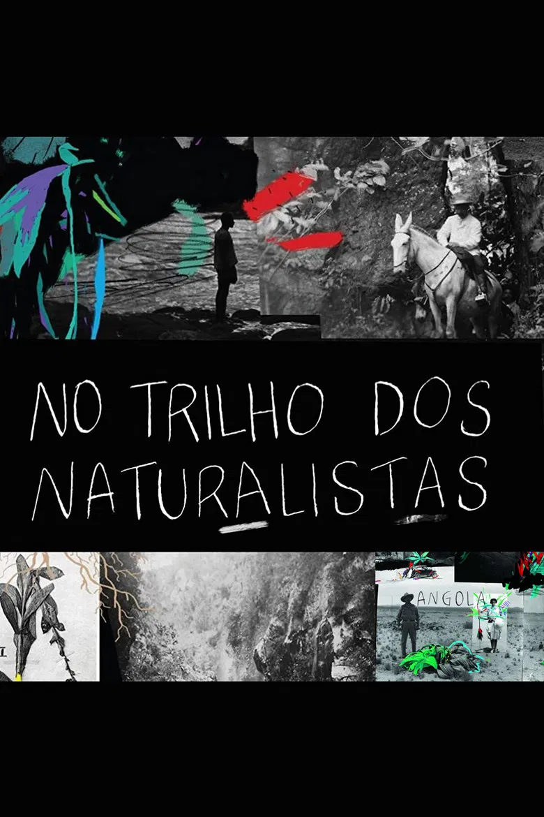 No Trilho dos Naturalistas: Angola poster background