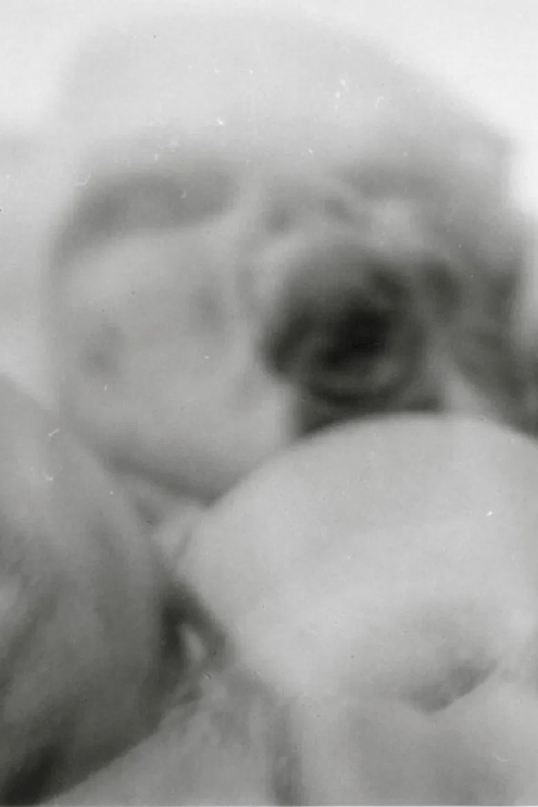 The Vanished poster background