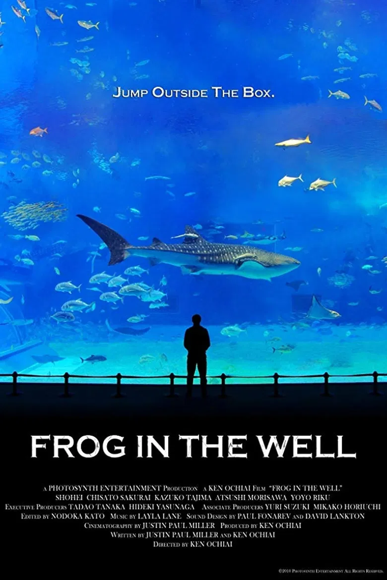 Frog in the Well poster background