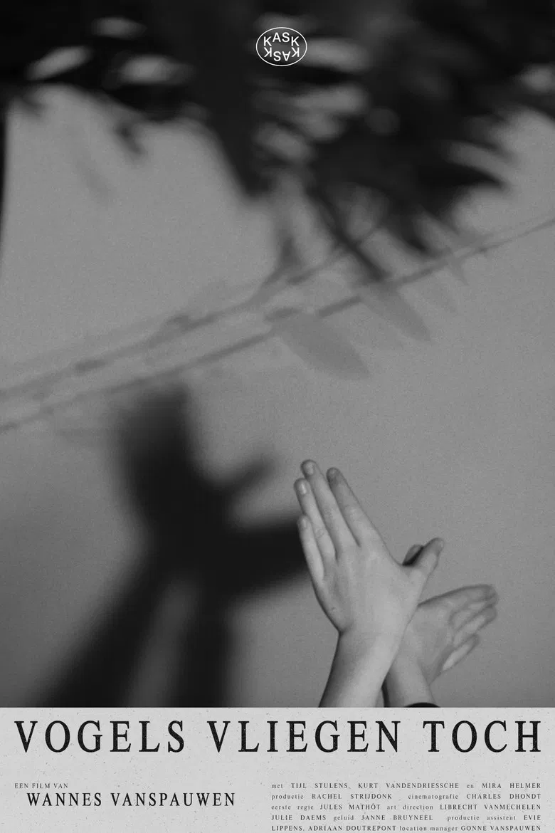 Vogels vliegen toch poster background