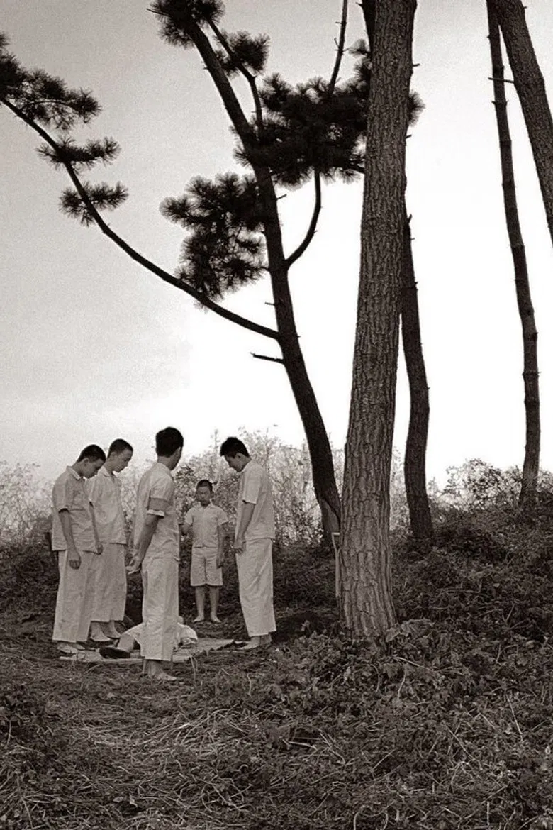 Children of Light poster background